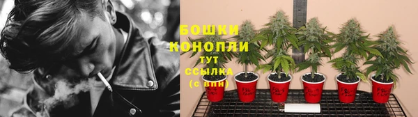 2c-b Богородицк